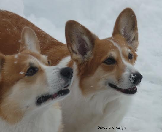 Darcy and Kailyn in the snow. 