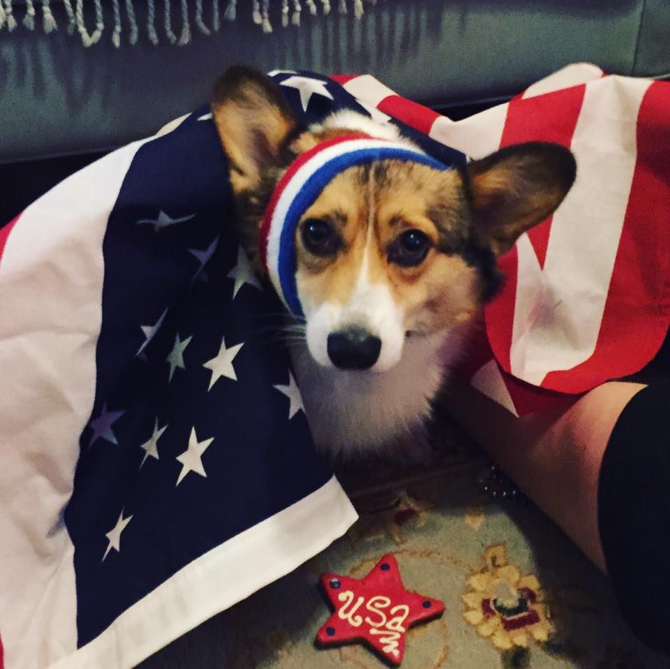 My Corgi, 'tis of thee, sweet land of liberty, of thee I sing.