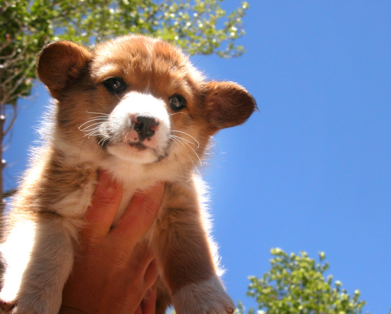 Cute Overload / bit.ly/2aHhbou