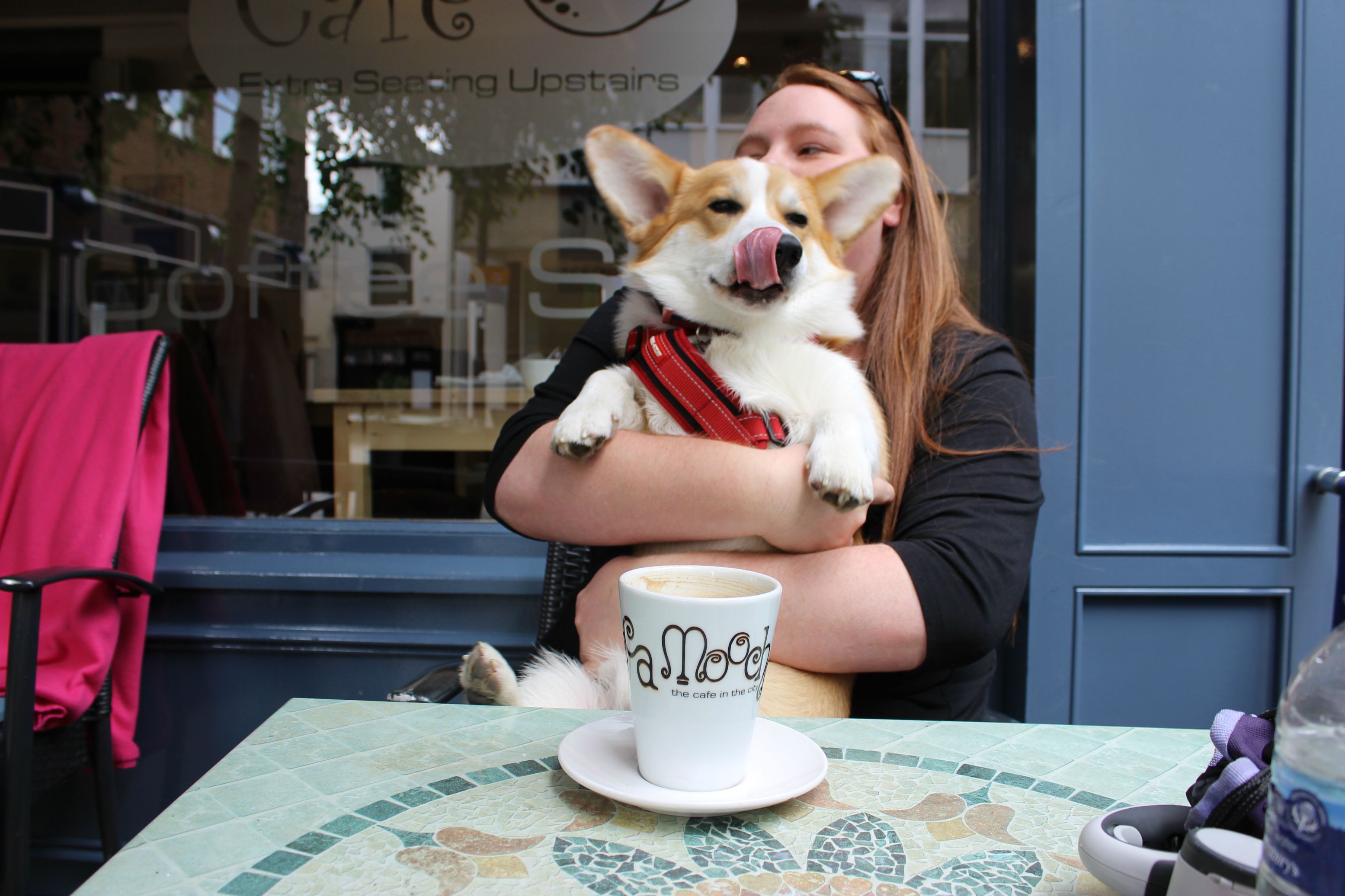 http://rebrn.com/re/-puppuccino-please-984909/
