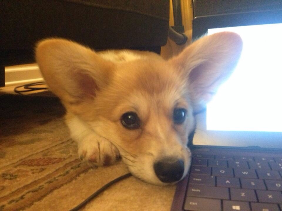 reddit / bit.ly/2aQCLnY