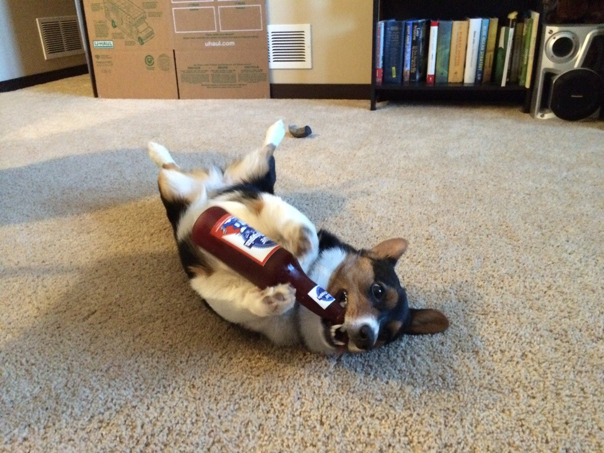 imgur.com/al93jsG.jpg