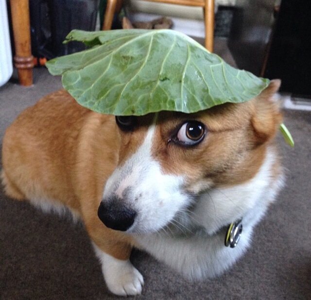 i.imgur.com/T2Yi6Y9.jpg