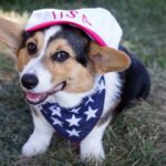 Have a Lovely Labor Day!