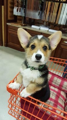 pinterest.com