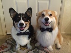 pinterest.com