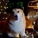 Happy New Year’s Eve, Corgi Nation!