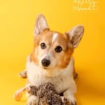Team Cody: Battling And Beating The Odds