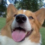 Nate Mooney of California: Saved, Sweet, and Spoiled!