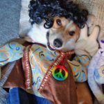 Peace, Love and Corgi Power!