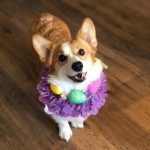 Easter Beasties: Corgis and Company!